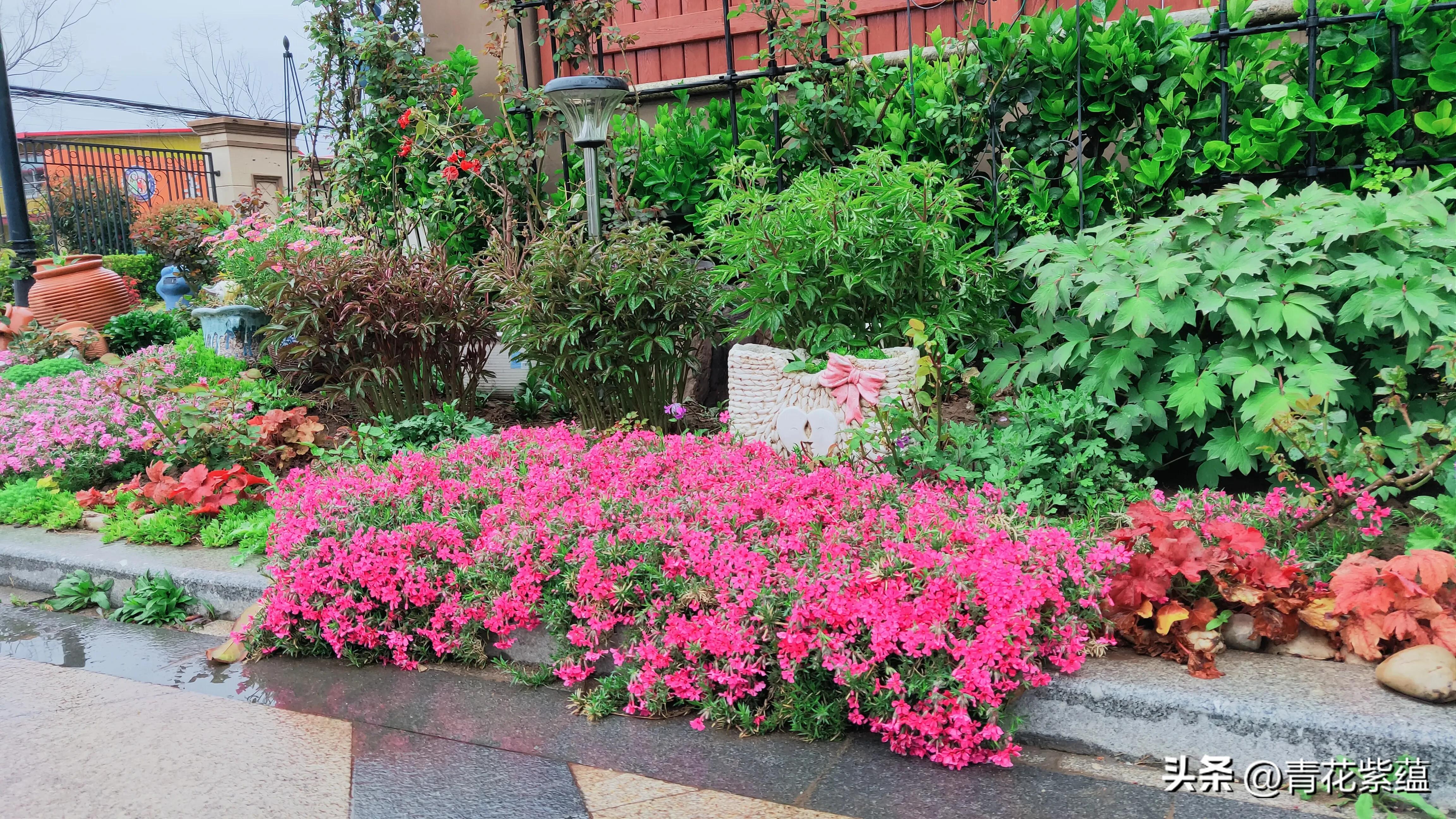 问花花不语乱红飞过秋千去的意思,泪眼问花不语乱红飞过秋千去意思