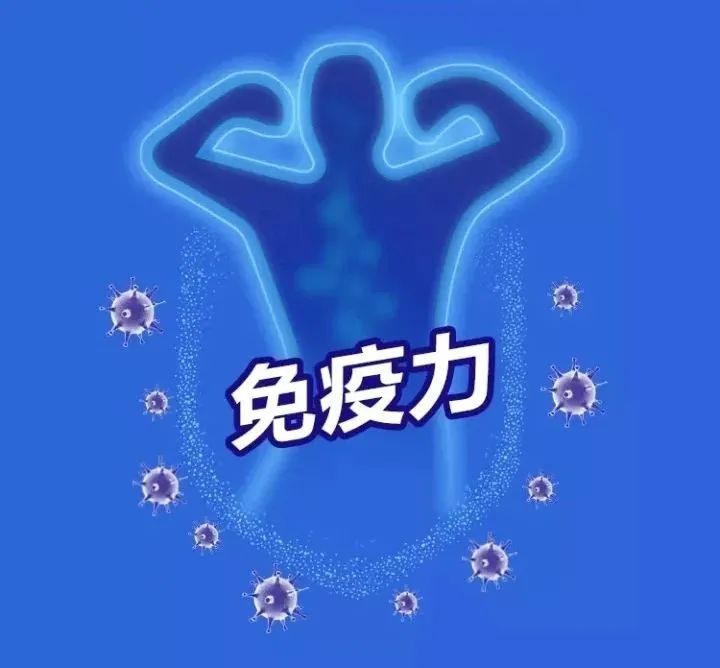 人参扶正,人参补气固脱