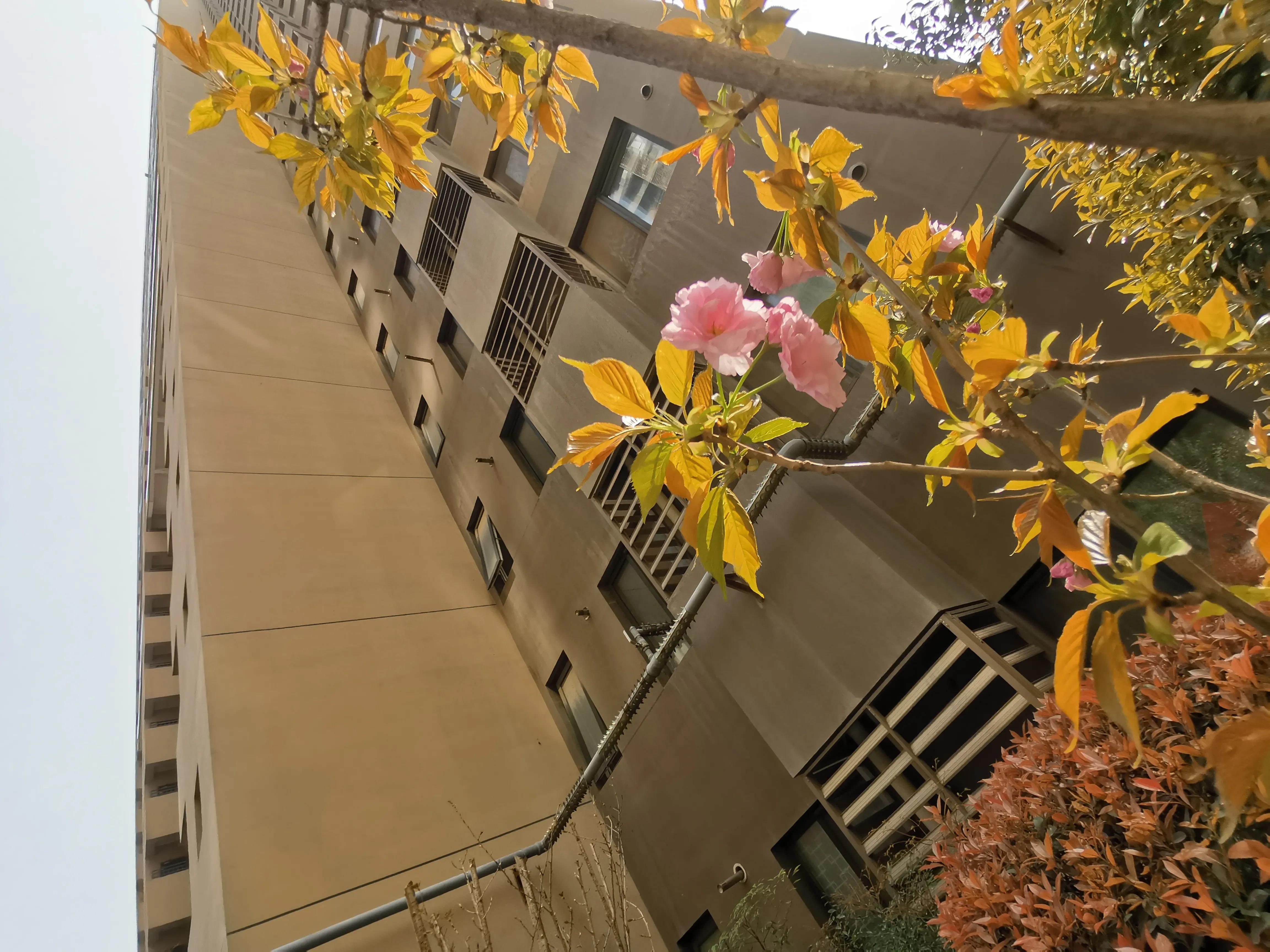 什么叫幸福什么叫真爱,什么叫幸福豫剧原唱