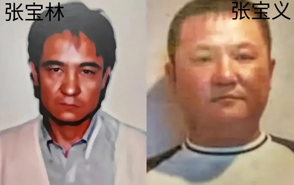 石家庄“黑老大”张宝林：《征服》刘华强原型，为弟*仇报**枪杀仇家