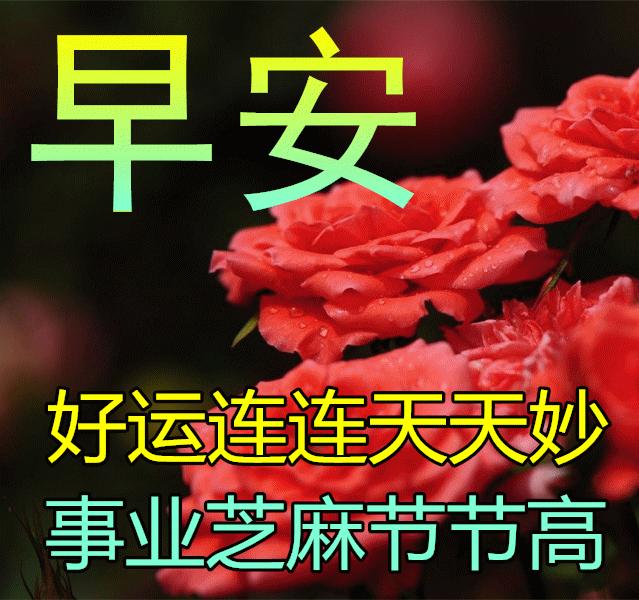周末早安最漂亮问候图片带字,周三早安正能量图片带字
