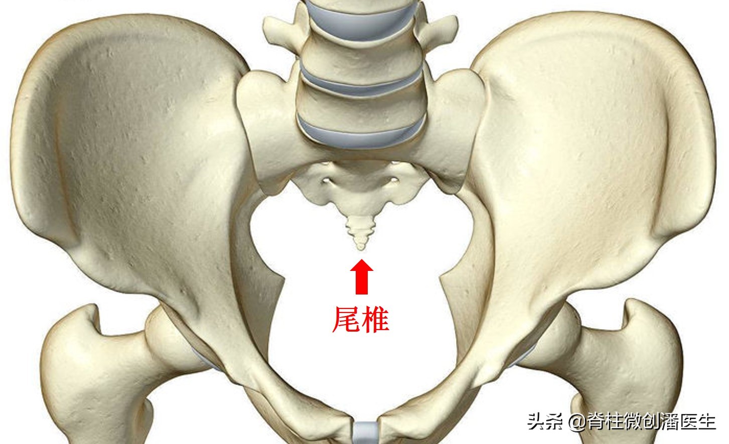 尾巴骨疼是什么原因,尾巴骨痛的缓解办法