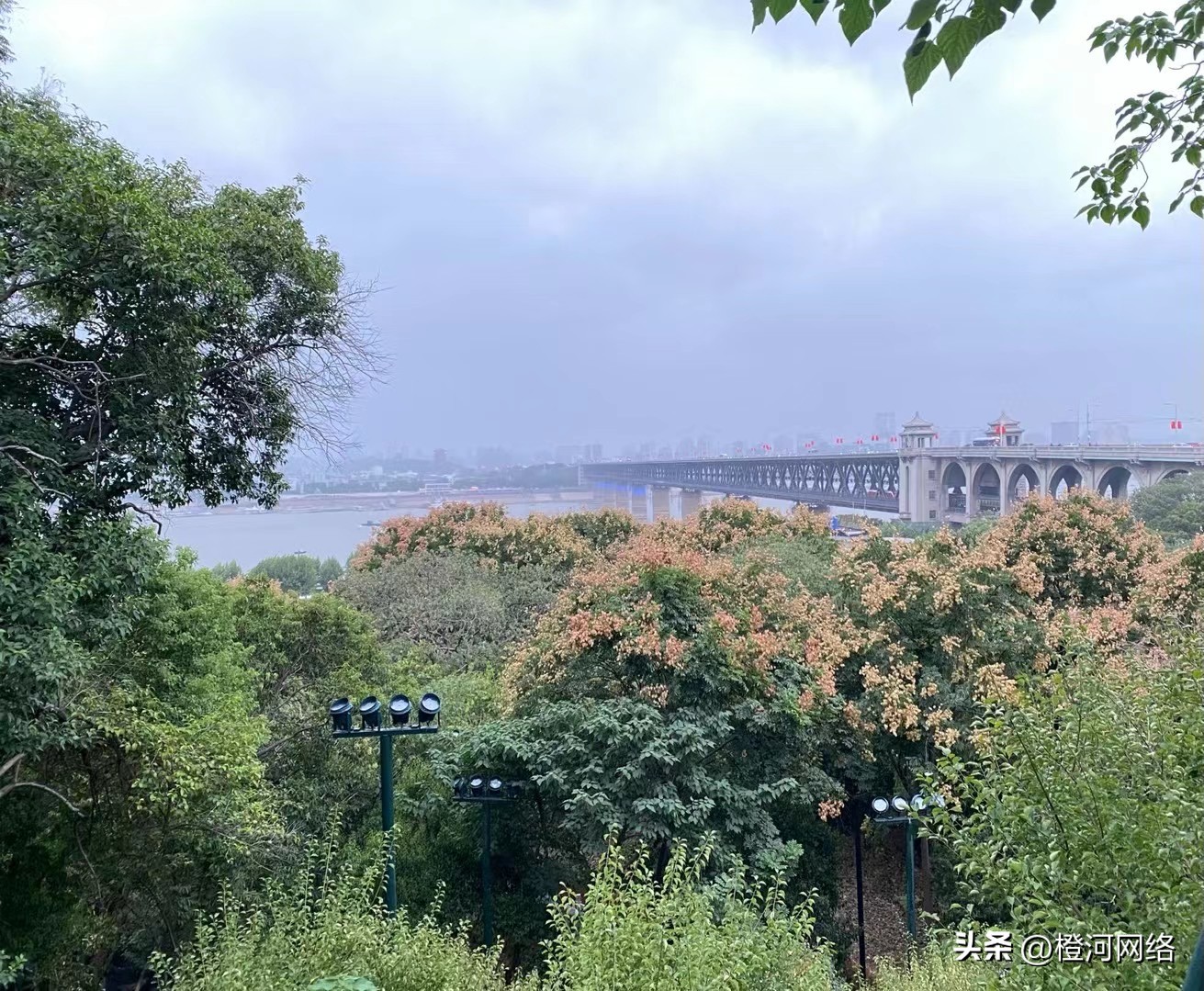 海外问卷调查项目如何快速做,海外调查问卷操作流程