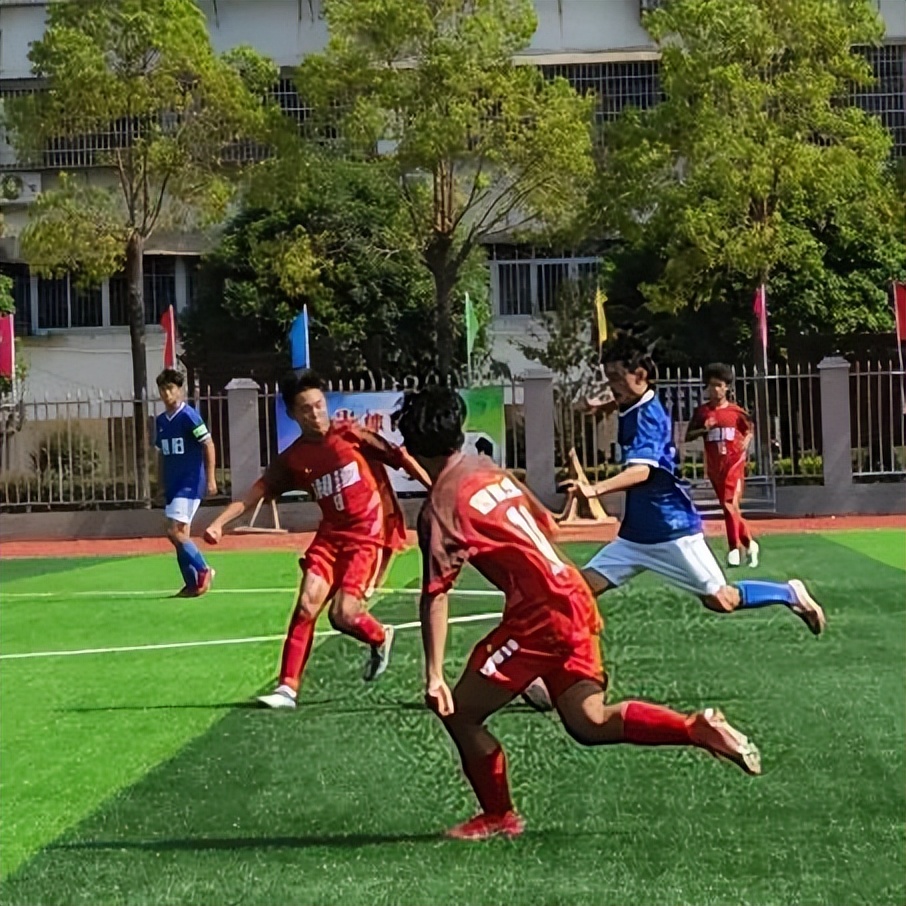 江声成绩单,省运会喜报