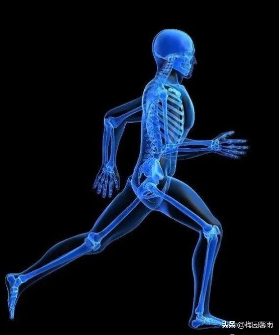 怎样壮骨最快最有效,好身体怎么养