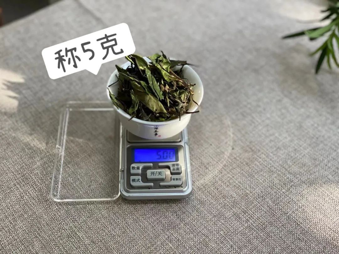 6大茶桌暗语介绍，何为回甘？何为醇厚？何为生津，一次说清