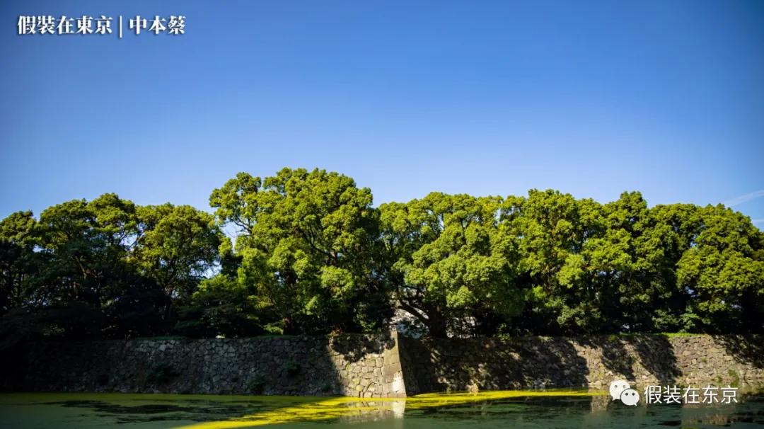 365张照片回顾,365张相片