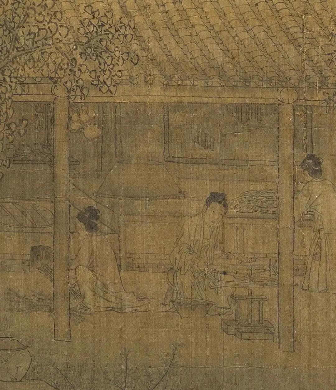 养蚕日记的感言,养蚕日记三十八天