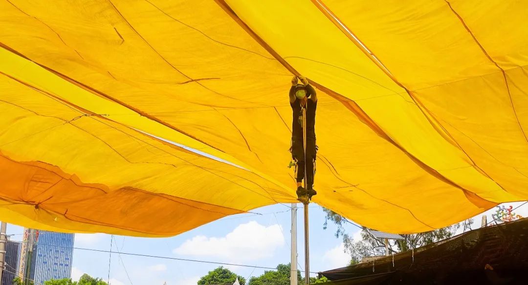我不是药神和齐霁哪个好看,我不是药神和奇迹笨小孩哪个好看