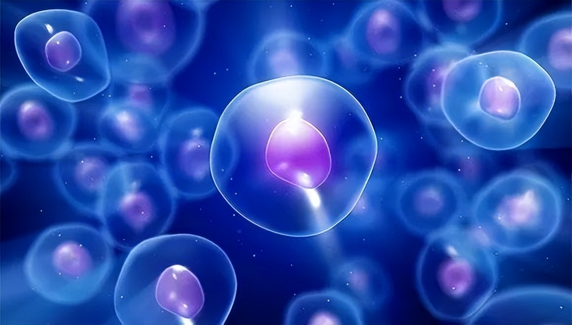 经常喝中药对肝肾功能有影响吗,长期喝中药对肝功能有什么影响