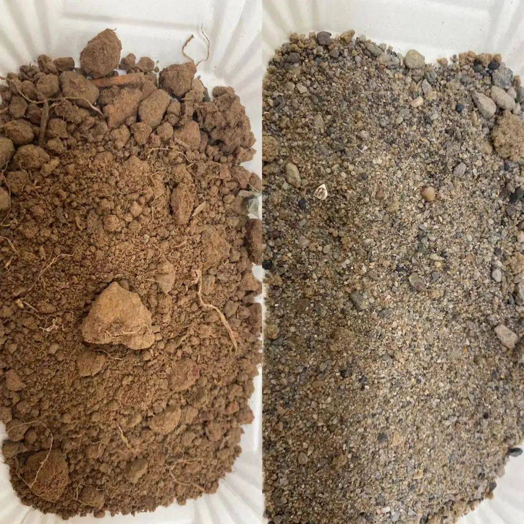 科学探索幼儿园小实验,建德诺亚舟幼儿园