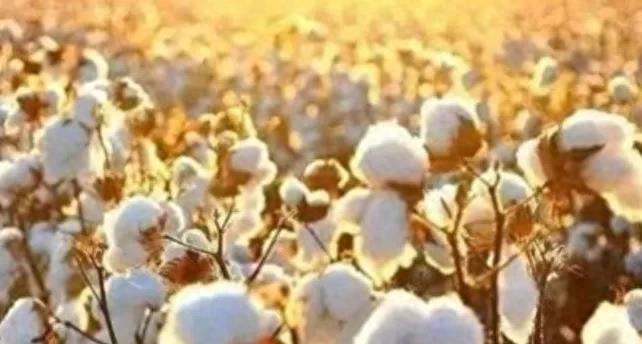 火焰山燃烧,火焰山熄灭的视频