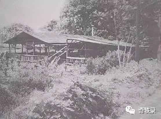 少女生日当天被绑架,案件相关人员接连死亡,日本知名悬案龙猫案