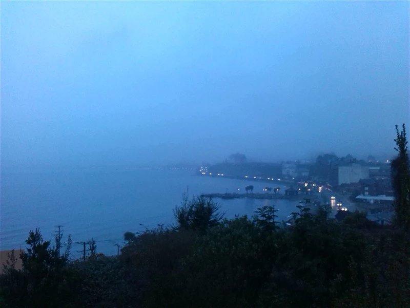 智利法罗群岛三文鱼,智利的三文鱼