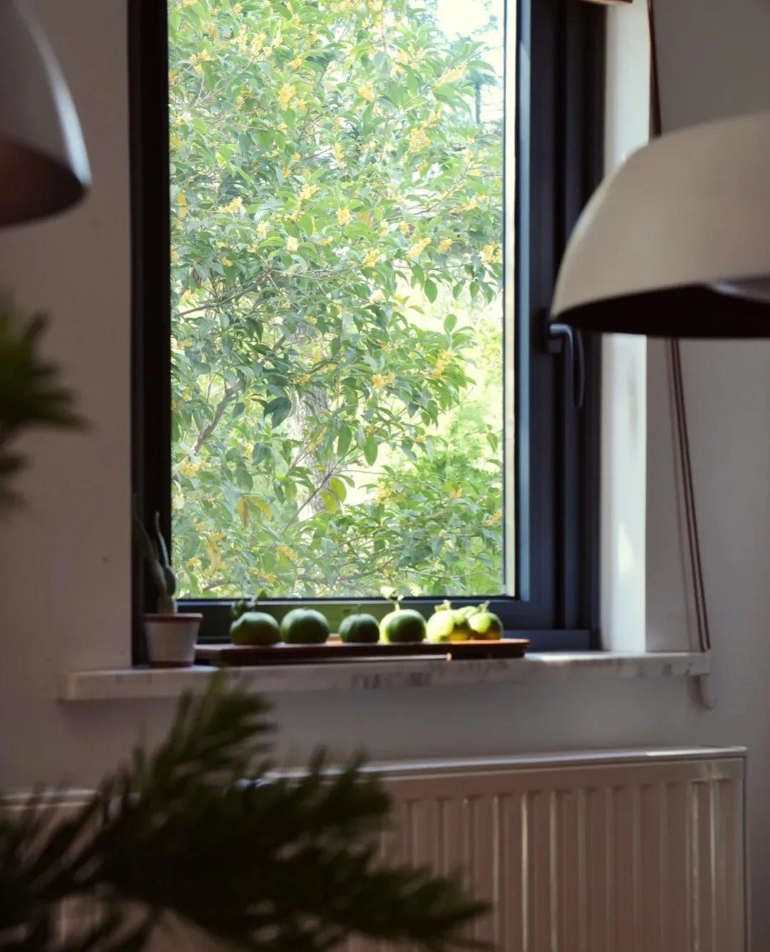 江苏发现一户人家太会装修而走红,安徽房屋室内装修隔断效果图