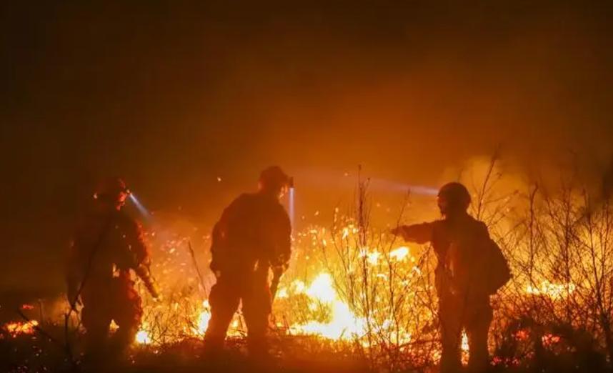 央视播报911,中国911事件全过程视频