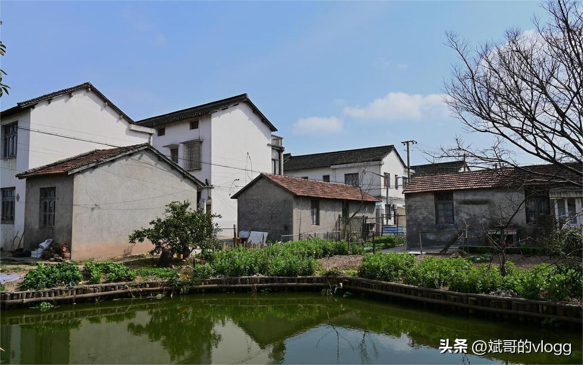 有严重的疾病可以申请农村低保吗,农村申请低保24种疾病