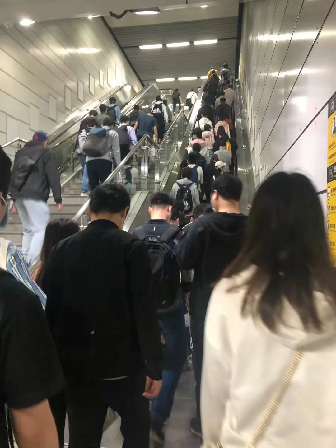 四个二本女生的「小时代」:毕业四年后,我们都回了老家