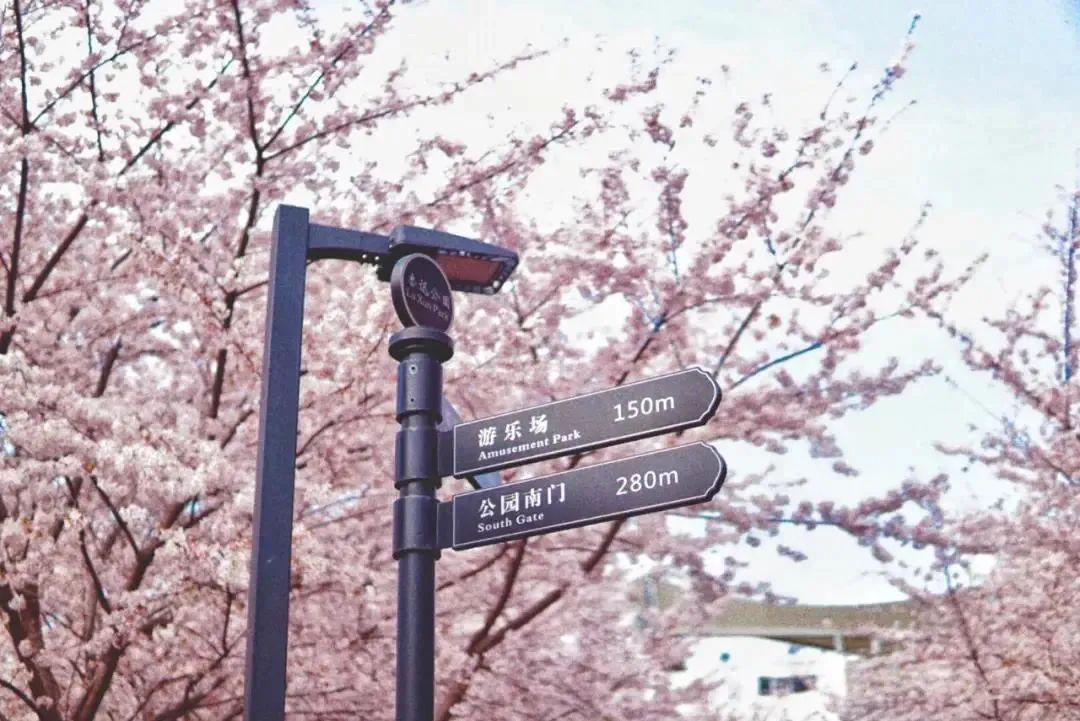 虹口体育场馆,虹口体育场旅游集散中心