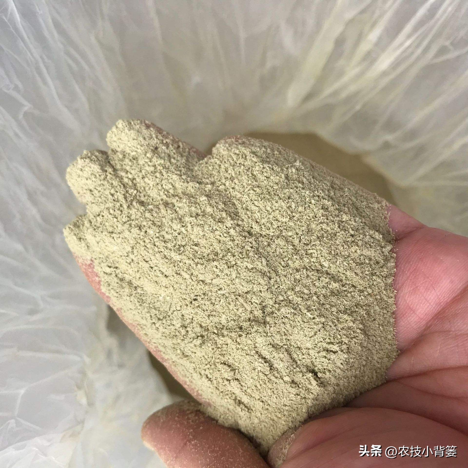 菌肥活菌剂,菌肥好不好