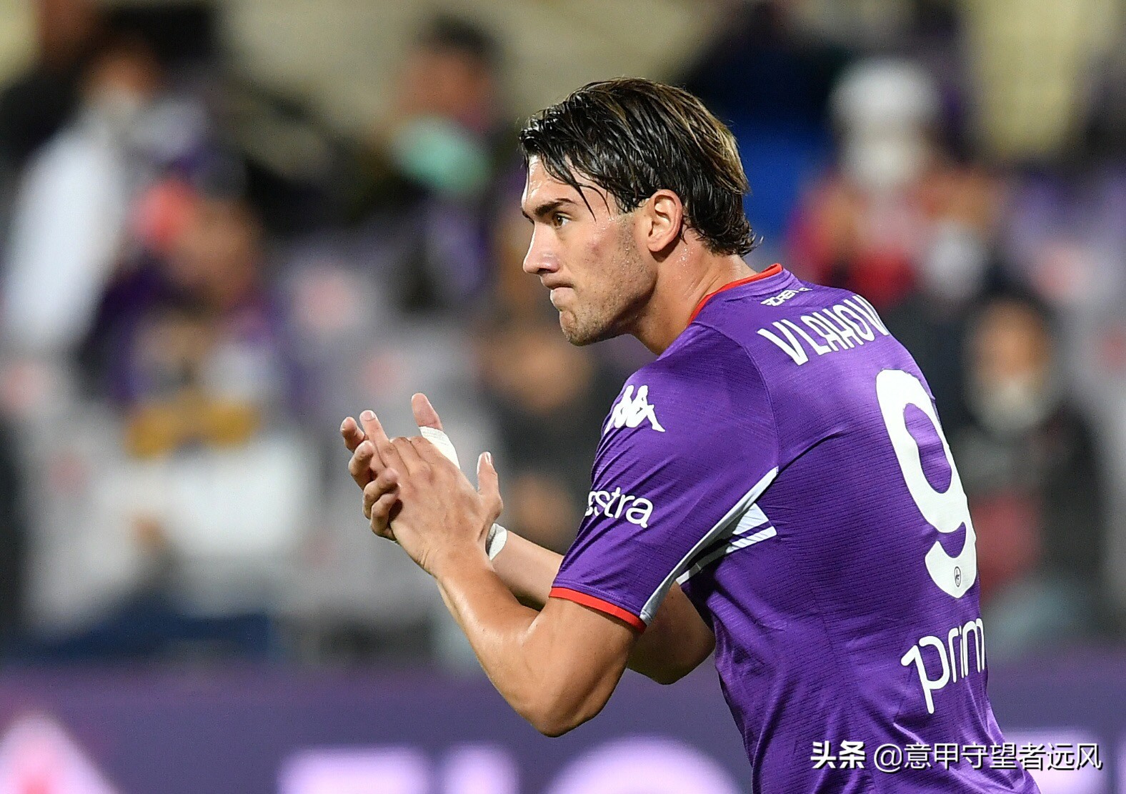 尤文上树,尤文斑马上树