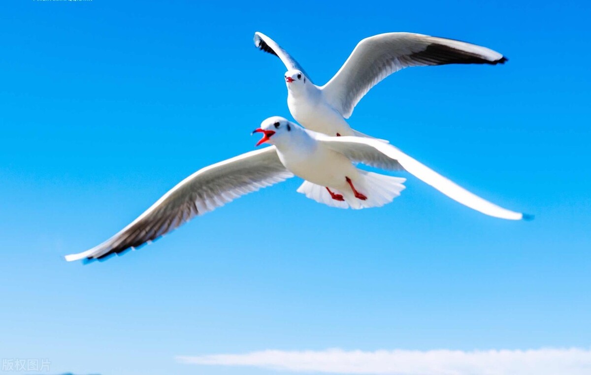 杭州妻子深夜离奇失踪,杭州妻子深夜离奇失踪后续