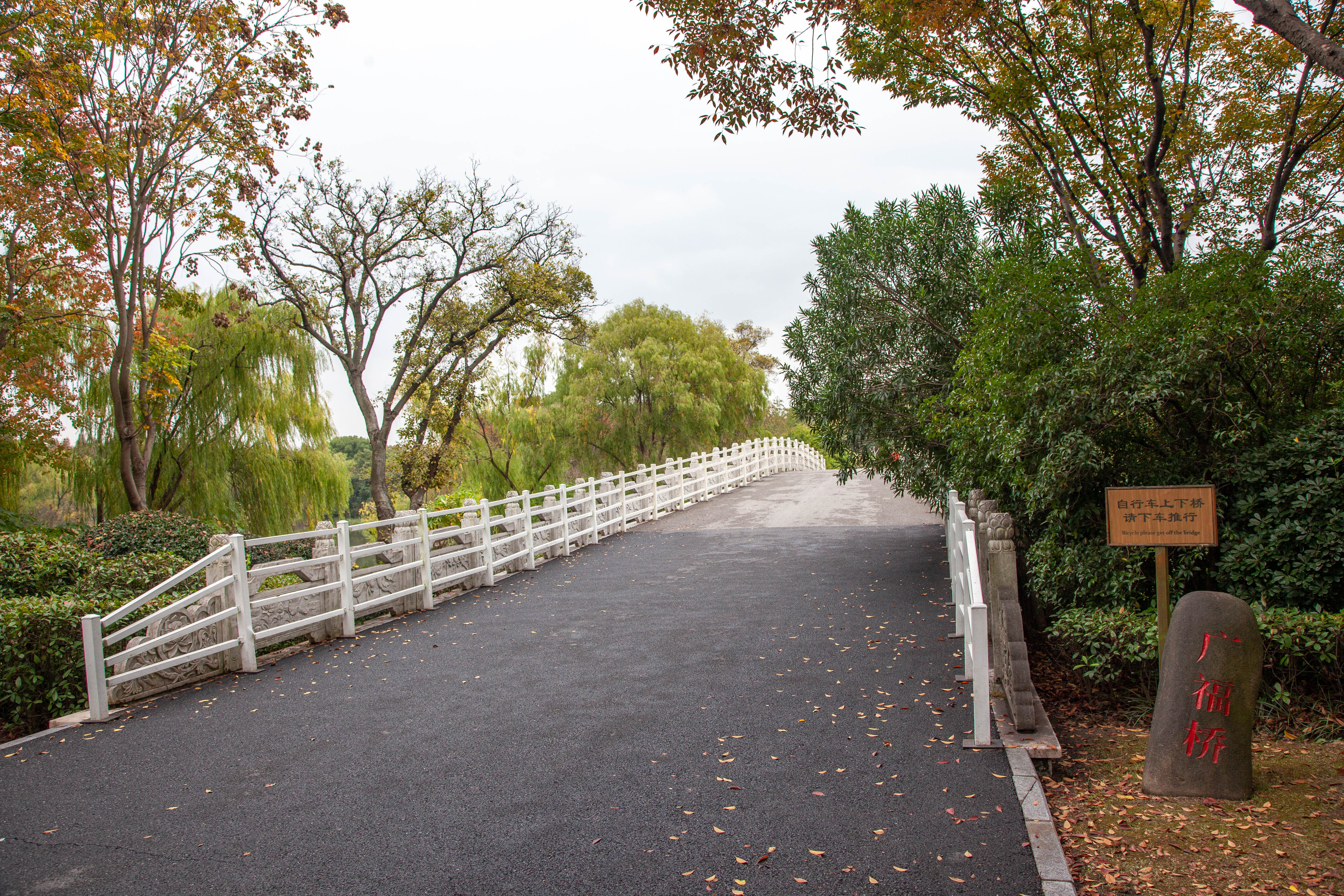 宝山顾村历史,上海宝山顾村老街