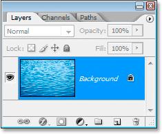 ps怎么去掉照片投影,ps制作照片动图