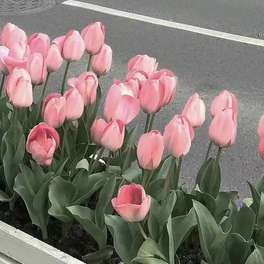 小众背景图朋友圈,干净小众背景图纯色