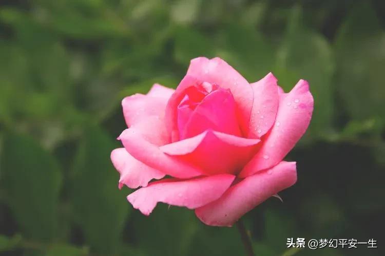 我经历的供销社变迁,我在七零供销社上班