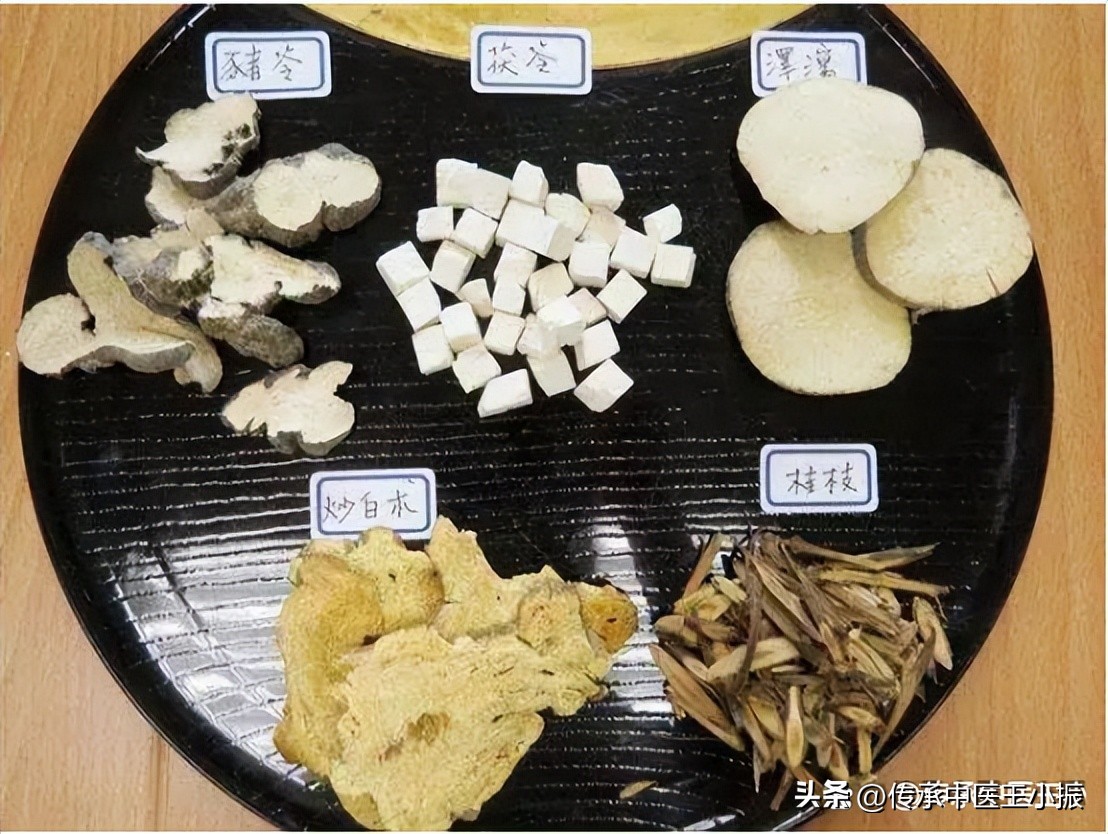 仲景如何鉴别五苓散和茯苓甘草汤,五苓散的配方与用量仲景