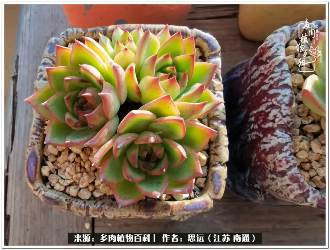 隔着时间的深爱，来自秋天的私语