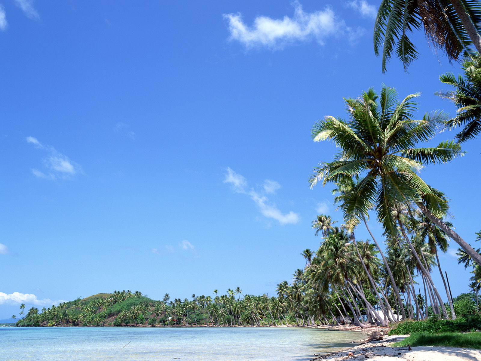 大海海滩美景图片,夏日最漂亮阳光海滩风景图片