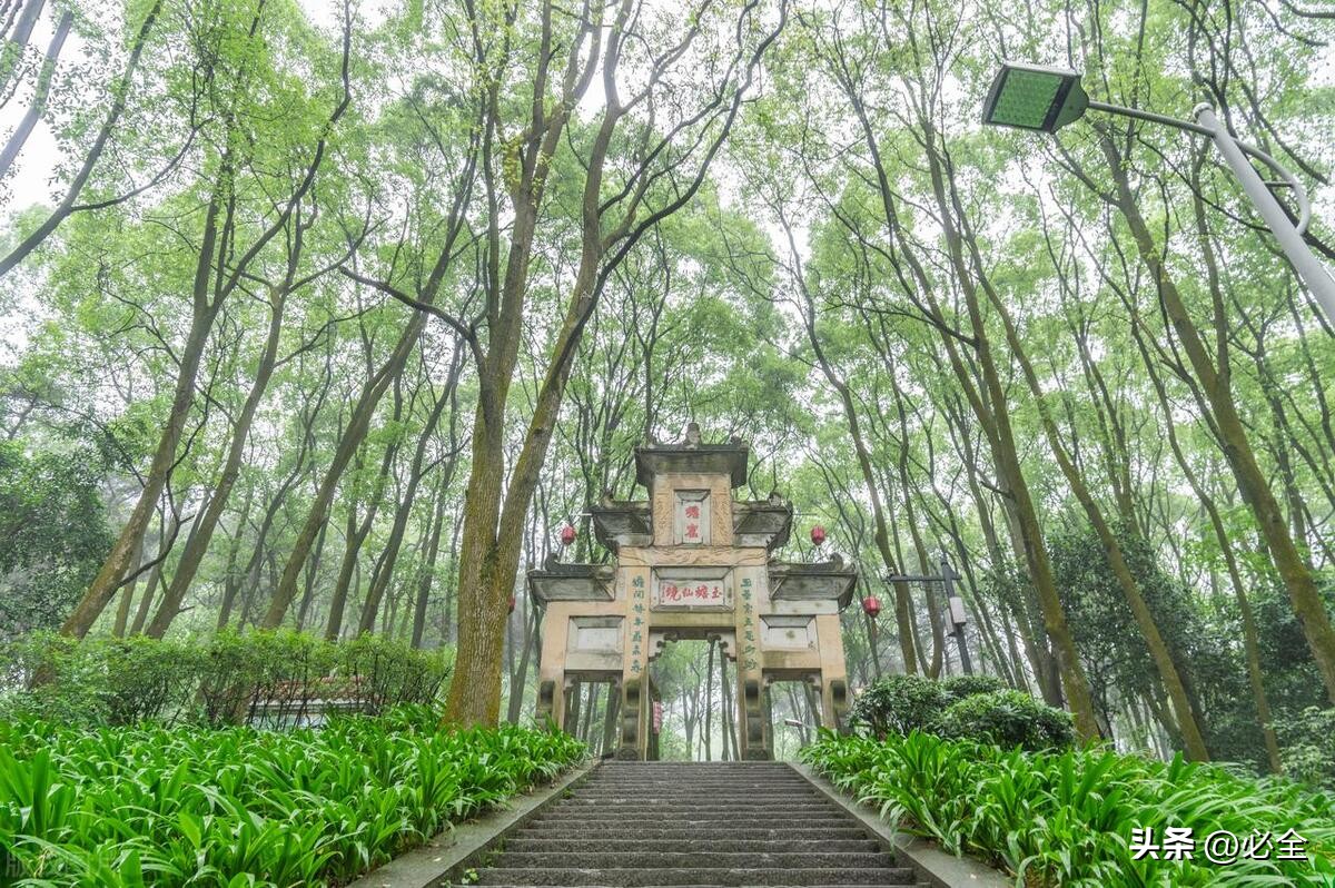 最新林木良种名单图片,林木良种国家认定