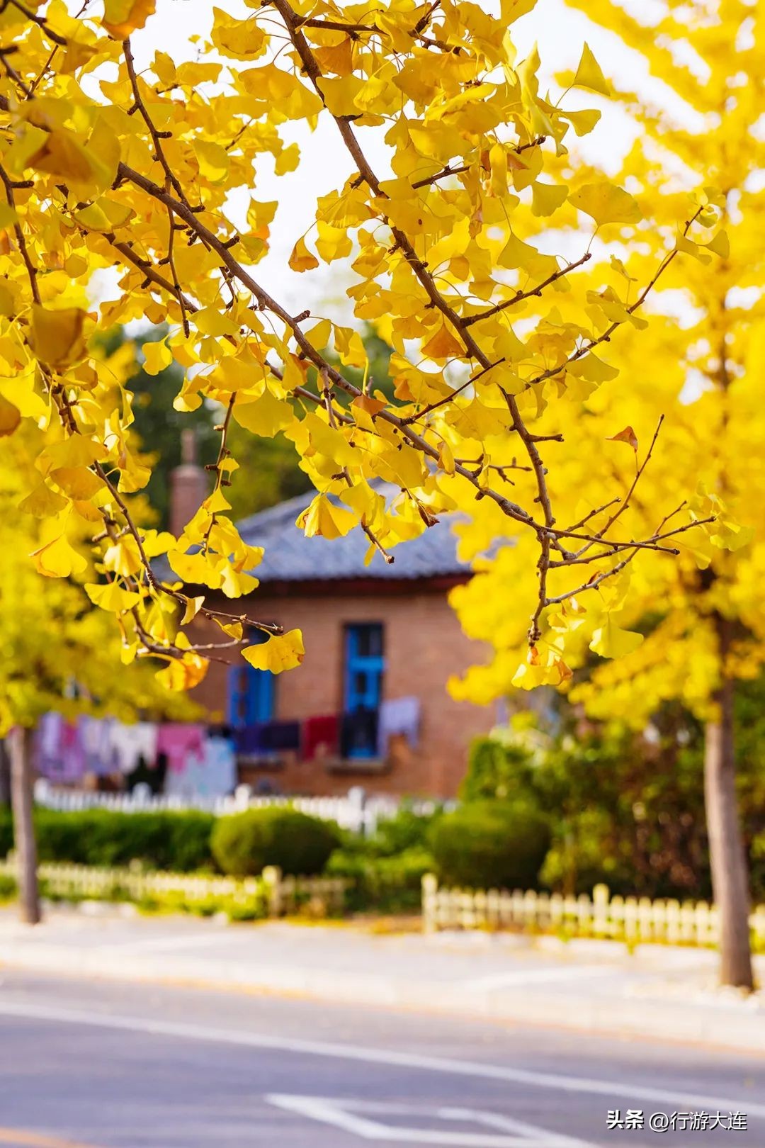 漫步大连风景区,漫步大连风景
