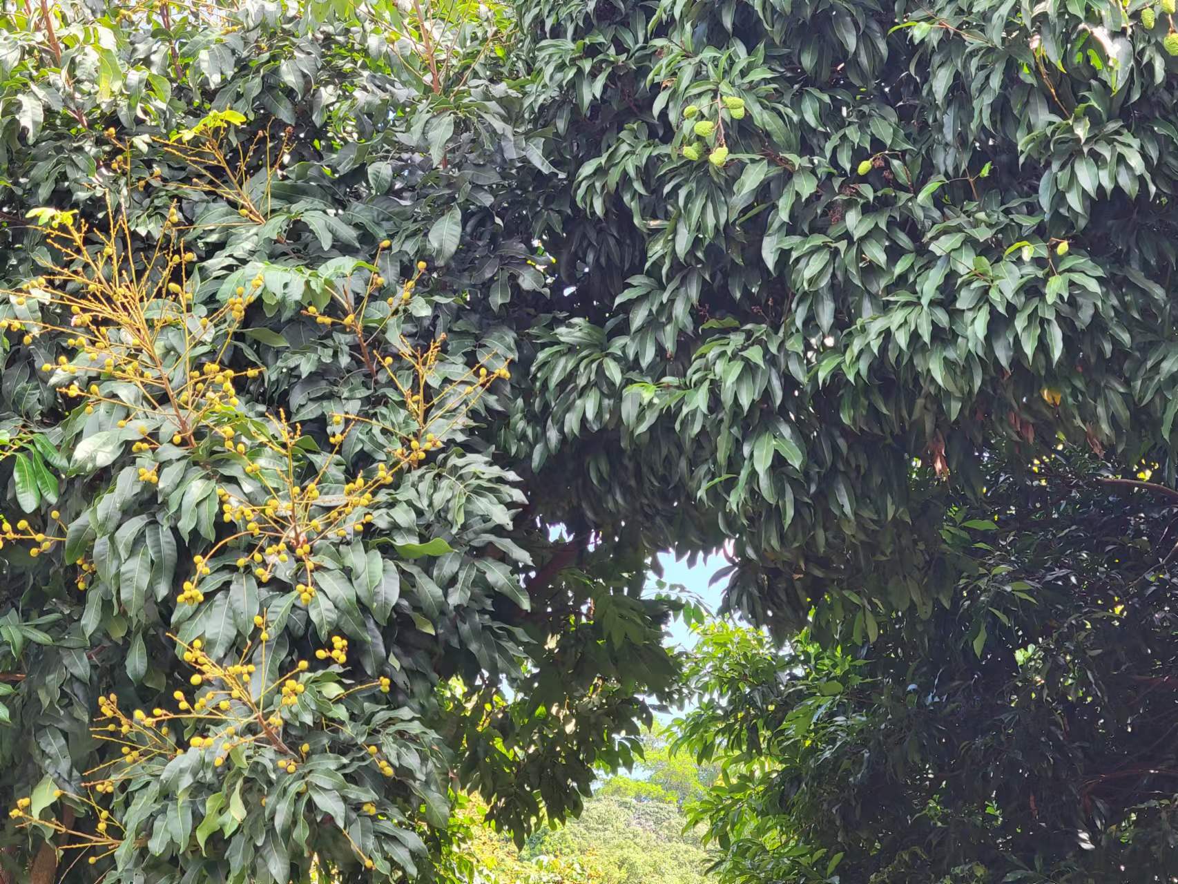 周末邀朋友小聚休闲享受周末,周末三五好友小聚喝茶品美味