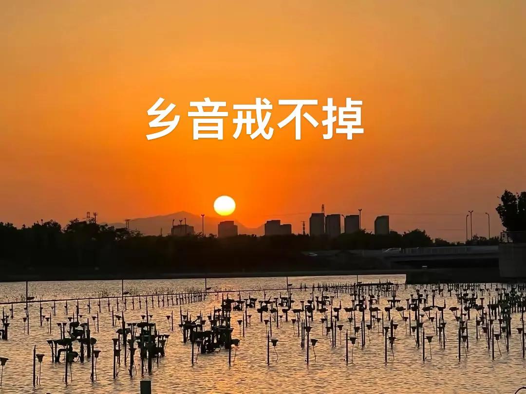 公司分配的业务手机被主管要走,公司帮办的手机号要收回