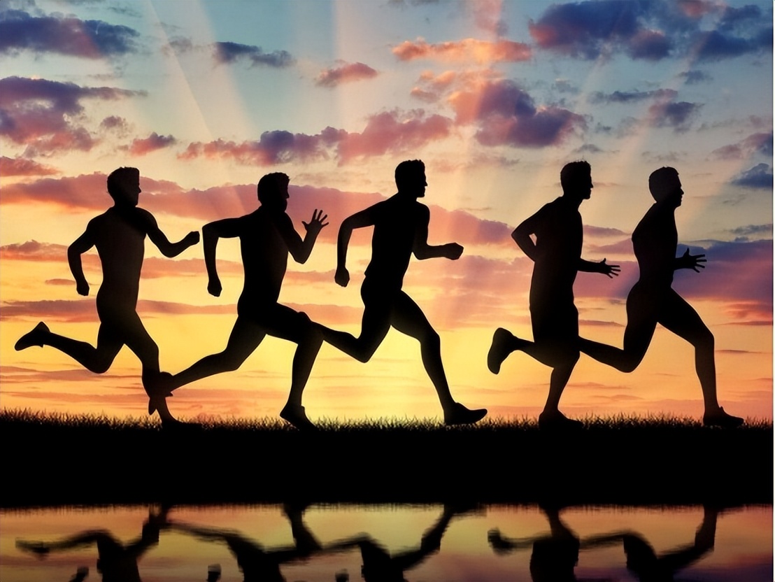 心跳快慢对寿命有影响吗,心跳快慢和寿命对照表