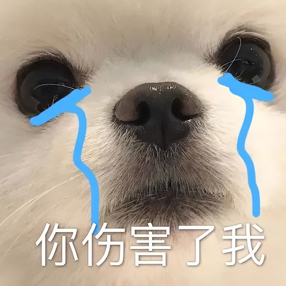 支付宝3000亿是真的吗,支付宝到底骗不骗人