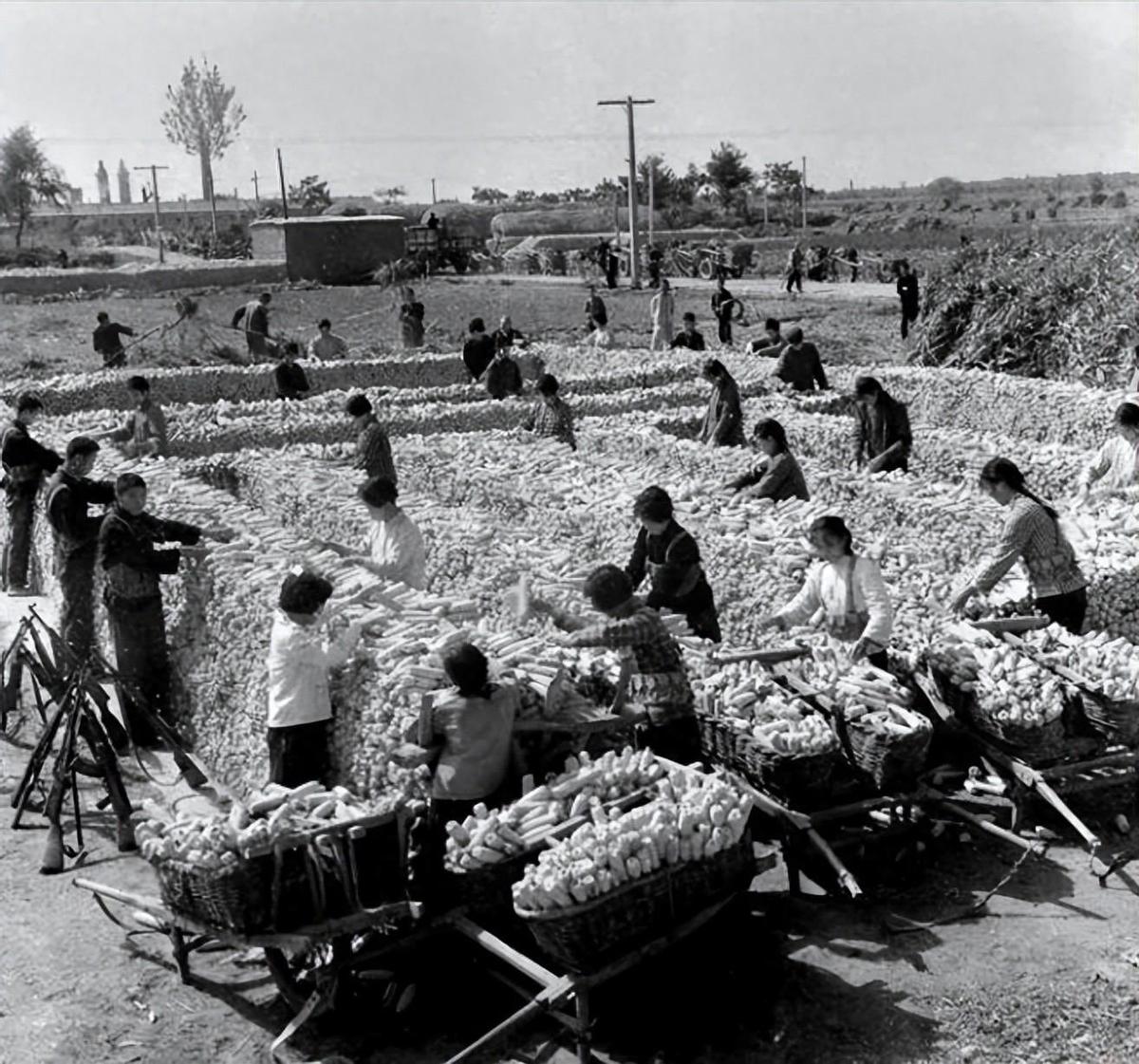 日军日记：*安妇慰**不服从管教，我很愤怒，用*刀刺**插入她的*体下**