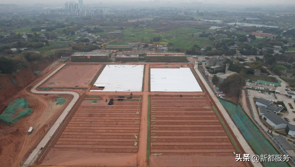 新都足球公园,新都最大的足球公园