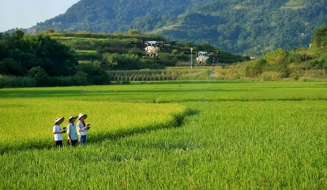 「泸州」江阳区：乡贤农场入选全省典型案例背后的“历程故事”