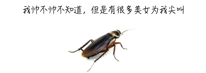 花费5万多大病保险能报多少,得了大病临时救助只有500块钱吗