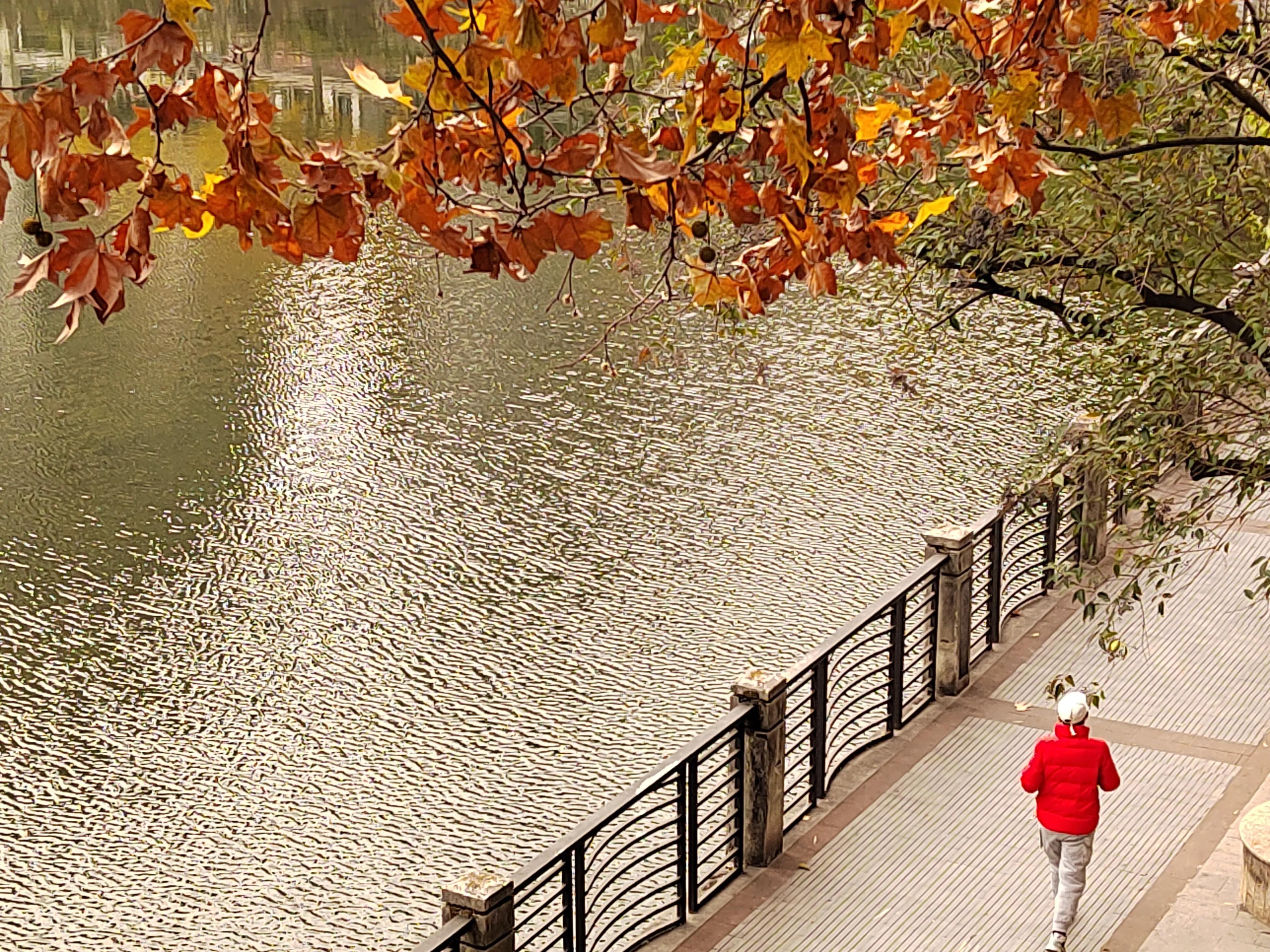 手拍世界作品专集,手拍世界283期