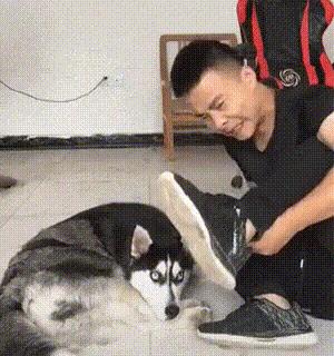 买新车适合发朋友圈的低调句子,买了新车怎么低调的发朋友圈