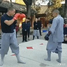 “是小蛇出了轨，还是青蛙劈了腿？”这是现实版的美杜莎？哈哈