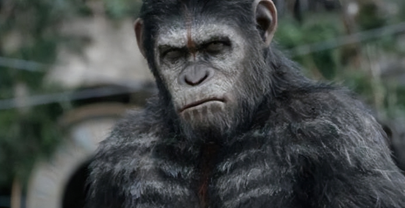 人兽真能杂交？日本批准“人兽杂交胚胎实验”，是灾难还是福音？