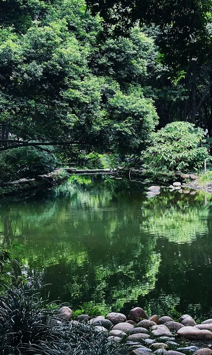 成都上新被施了魔法的“无蚊公园”!逛朋克风夜市、奇异洞穴书店