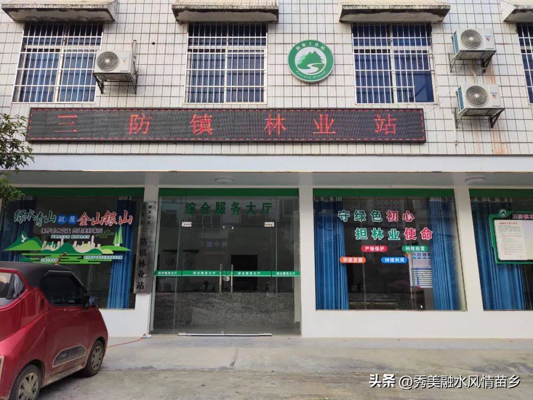 三防镇林业站：推行“三心”服务模式，打通服务群众最后一公里