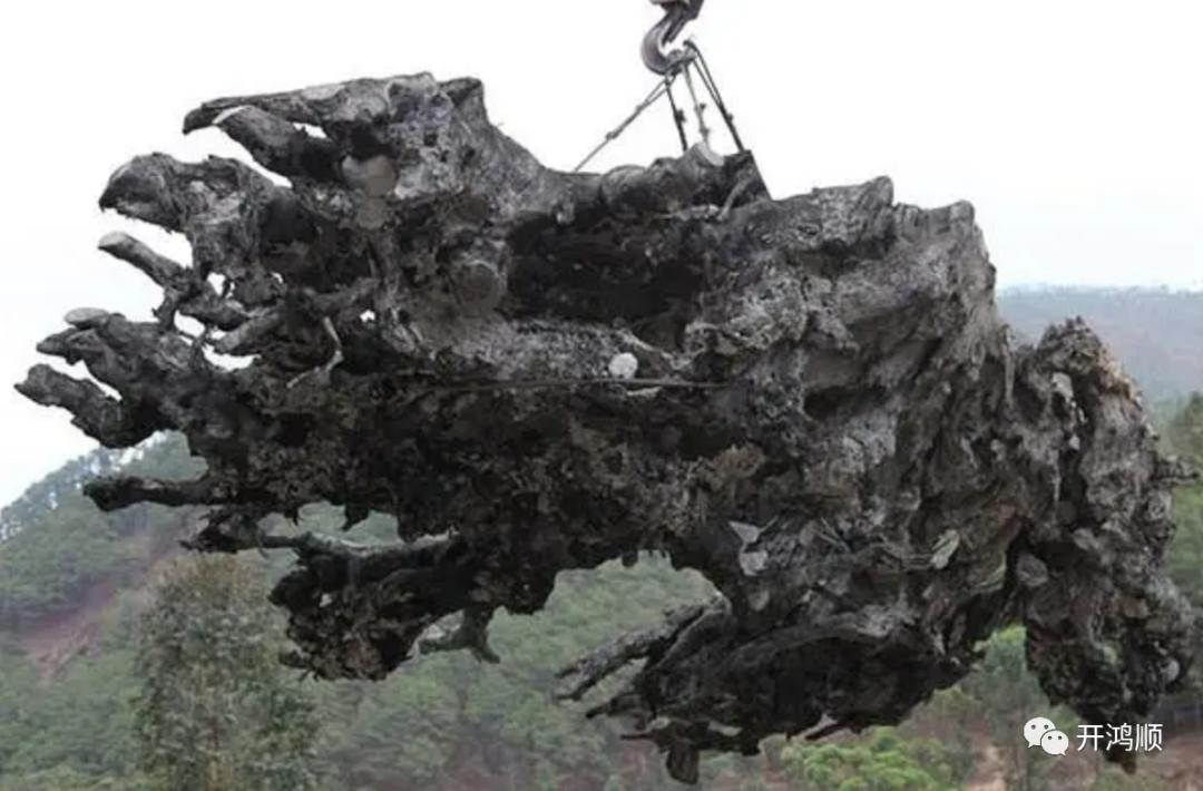 珍稀沉香乌木,珍稀乌木在哪买